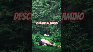 Descubre el camino divino [upl. by Jessee237]