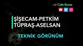 Şişe Cam  Aselsan  Petkim  Tüpraş  Analizleri  Sise Asels Petkm Tuprs 7Kasım [upl. by Simonne629]