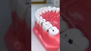 Tooth Cleaner [upl. by Nimad]