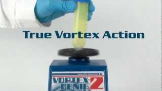 Scientific Industries VortexGenie 2 Variable Speed Vortex Mixer [upl. by Bogusz]