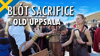 Spring Blot Sacrifice  Norse Paganism in Sweden [upl. by Reede]