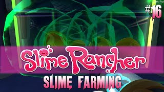 Slime Rancher 16 Rad Slime Combinations [upl. by Kcirevam]