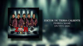 Perrea Mami En Vivo 2024  Zektor DTC [upl. by Ainival624]