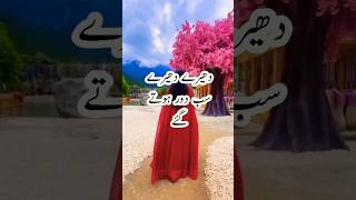 Dheere Dheere sb door ho gyeshortvideo islam islamic [upl. by Odlo93]