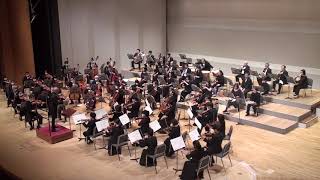 Peter Ilyich Tchaikovsky Symphony No5 eminor Op64 [upl. by Mareah]