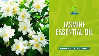 Discover the Surprising Benefits of Jasmine Essential Oil [upl. by Maurizio662]