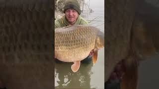 PB58lb fishing carpe carpfish frenchcarp francecarpfishing carps carp carpangling carping [upl. by Cloutman]