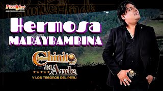 ♪ CHINITO Del Ande  Hermosa Maraybambina  Primicia 2023 HUAYNO Con Requinto Perú Oficial [upl. by Ydnak249]