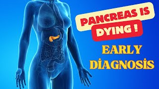 Your Body Pancreas Problems First Symptoms and causes of Pancreatic Disease [upl. by Oirazan]