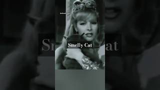 Phoebes Smelly Cat Song phoebebuffay phoebe friendstvshow friends friendstvseries shorts [upl. by Enilkcaj]