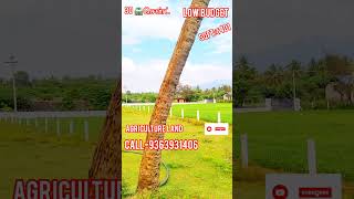 Low Budget Agriculture Land Ramalingam Builders districtinindia [upl. by Einwahs407]