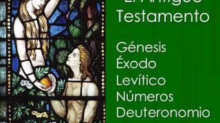 Los libros de la Biblia en resumen [upl. by Jahn]