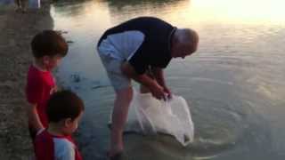 Rod and future Fishos releasing Yellow Belly into Lake Albert [upl. by Solana297]