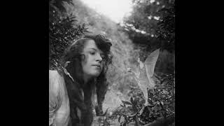 Cottingley Faeries Photos cottingleyfaeries faeries shorts [upl. by Nihsfa]