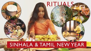 Rituals of Sinhala and Tamil New Year  Sri Lanka [upl. by Anitel]