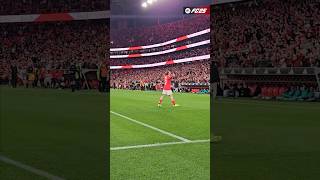 ⚽ Aktürkoğlu 10 • slbrafc ligaportugalbetclic golo goal benfica slbenfica [upl. by Azirb720]