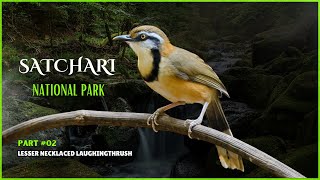 Satchari National Park Part 2  Nature And Wildlife  Bangladesh [upl. by Kiel]