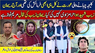 rehan zaib khan pti  rehan zaib khan last video  rehan zaib video today  election in pakistan [upl. by Doley]