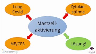 Gesundheitspolitik aktuell  Das Mastzellaktivierungssyndrom MCAS SEB Zweiter Termin [upl. by Sukramaj]