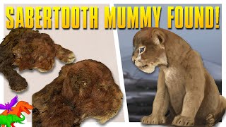 Frozen SaberToothed Cat Mummy Found In Siberia [upl. by Etsirhc403]