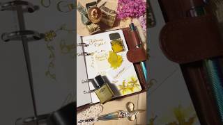 🎁INKVENT Day1 Fortunes Gold diamine inkvent moleskine dippen dippencalligraphy journal ink [upl. by Belak]