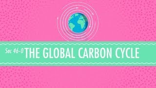 The Global Carbon Cycle Crash Course Chemistry 46 [upl. by Aubry]