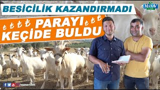 Besicilik Kazandırmadı Parayı Keçide Buldu [upl. by Ijies]