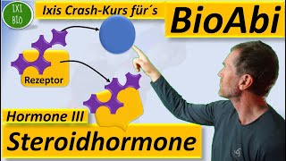 Hormone 3 Steroidhormone  Wirkungsweise im Detail Vergleich von hydrophilen  hydrophoben Hormonen [upl. by Gwenore]