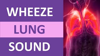 Wheezing Lung Sound Audio High Pitch  Nursing Adventitious Lung Sounds NCLEX Review [upl. by Nnybor]