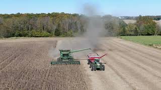 Sizelove Farm Bean Harvest 2024 [upl. by Mcquade]