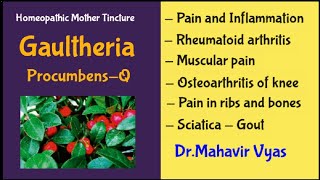 Gaultheria procumbensQ  Homeopathic Mother Tincture  DrMahavir Vyas [upl. by Hanahs]