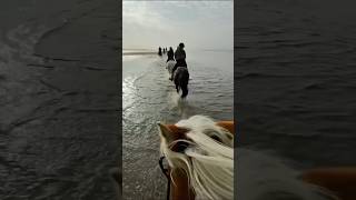 VikiSarina galloppieren durchs Meer 🏇 großen Wunsch erfüllt  Reiten am Strand ✨ ViktoriaSarina [upl. by Helm953]