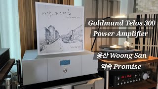 LP 웅산 Woong San  약속 Promise 골드문트 텔로스 300 파워앰프  TAD ME1 [upl. by Monika]