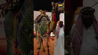 Arabian Food Festival Poppys Hotel Madurai [upl. by Suhploda58]