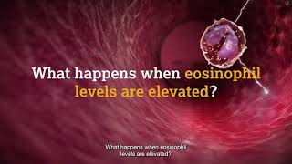 What are eosinophils [upl. by Nosnar514]