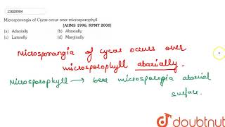 Microsporangia of Cycas occur over microsporophyll  11  PLANT KINGDOM  BIOLOGY  ERRORLESS [upl. by Schifra]