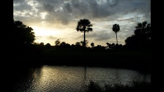 Jax Beach Golf Course hole 16 HD [upl. by Brecher]