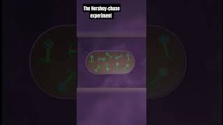 the Hershey and Chase experiment animation with explanation [upl. by Purvis]