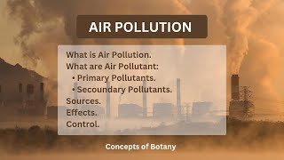 Air Pollution Sources Causes Effects Primary and Secoundary PollutantsHindiUrdu airpollution [upl. by Canica]