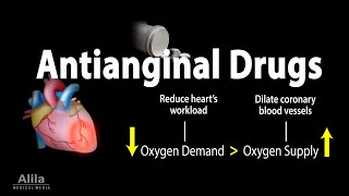 Pharmacology Antianginal Drugs Animation [upl. by Anwahsar]