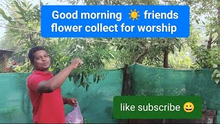 Flower Collect For Worship At Morning TimeSubha Ki Time Flower CollectSakhalu Phula Tola Drusya [upl. by Trebloc]