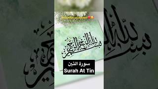 Surah AtTin الله اللهمصلوسلمعلىنبينامحمد quran englishtranslation shorts اكسبلور [upl. by Sirod]