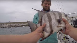 HOW TO CATCH SPADEFISH TIPS and TUTORIAL [upl. by Karr]