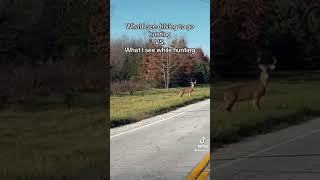 Why is it like this hunting deer deerhunting outdoors buck whitetail bowhunting rut [upl. by Zashin]