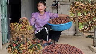 Feed the chicken a lot to grow quickly How to make dried lychee to eat all year round Ep173 [upl. by Wolfgram590]