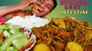 MUKBANGSpicy Goat Intestine EatingEating ShowMstrjin [upl. by Rozina418]