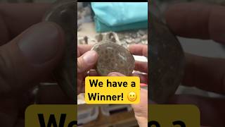 Petoskey Stone Giveaway [upl. by Alyahs]