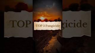 Top 5 Fungicide farmer farming shetakari agriculture [upl. by Defant214]