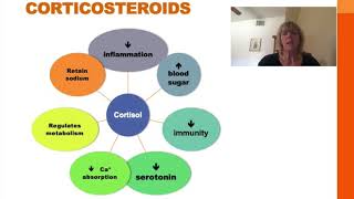 Pharmacology Basics Corticosteroid Medication [upl. by Nosnah228]