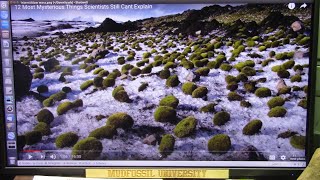 Who Can Explain These Geological Formations that Create Moss Covered Rocks [upl. by Ahsekan]